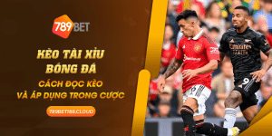 20 Keo tai xiu bong da Cach doc keo va ap dung trong cuoc