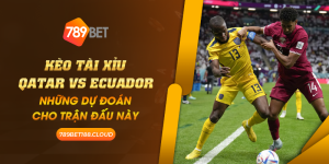 21 Keo tai xiu Qatar vs Ecuador Nhung du doan cho tran dau nay