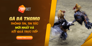 37 Ga da Thomo Thong tin tin tuc moi nhat va ket qua truc tiep