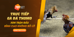 40 Truc tiep ga da Thomo Xem tran dau dinh cao khong bo lo 1