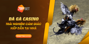 41 Da ga casino Trai nghiem cam giac hap dan tai nha