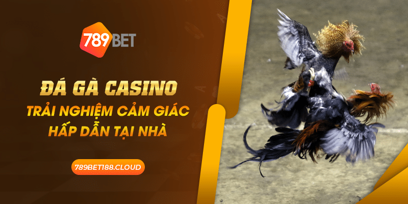 41 Da ga casino Trai nghiem cam giac hap dan tai nha