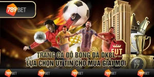 Trang cá độ bóng đá dkbl – lựa chọn uy tín cho mùa giải mới