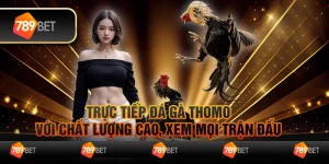Trực tiếp đá gà Thomo với chất lượng cao, xem mọi trận đấu