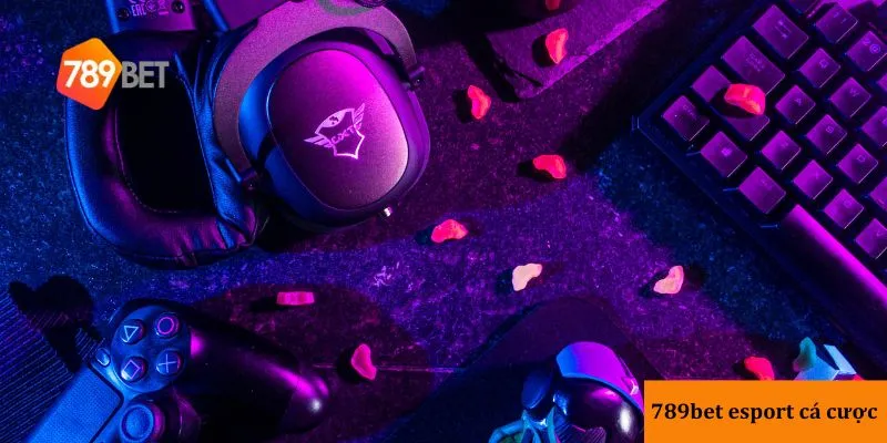 Giới thiệu nền tảng 789bet esport cá cược chất lượng