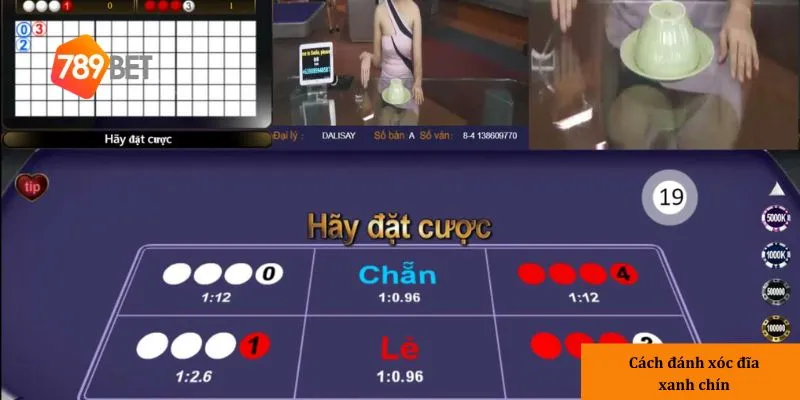 3 loại cược phổ biến trong xóc đĩa