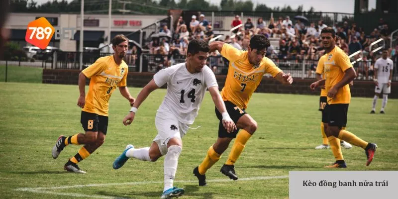 Giới thiệu về Kèo đồng banh nửa trái