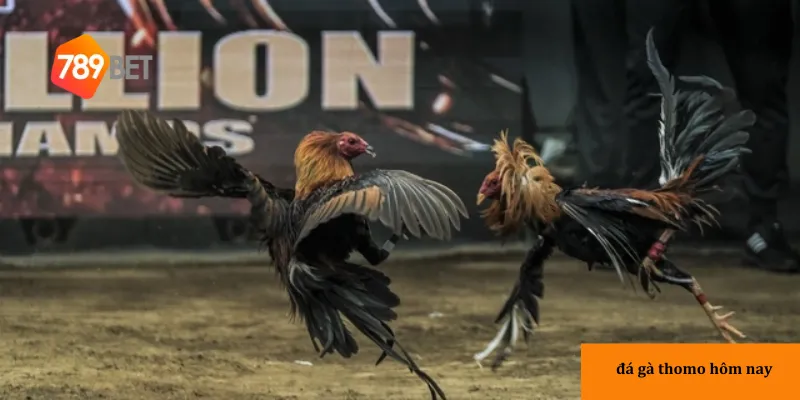 Tìm hiểu về nguồn gốc và sự phát triển của thể loại này