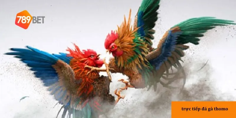 Đồ hoạ sinh động giúp anh em dễ theo dõi