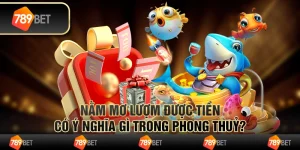 Nằm mơ lượm được tiền có ý nghĩa gì trong phong thuỷ?