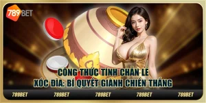 Công Thức Tính Chẵn Lẻ Xóc Đĩa: Bí Quyết Giành Chiến Thắng