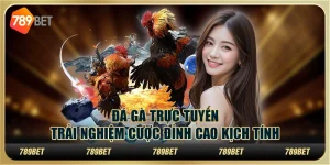 Đá gà trực tuyến: Trải nghiệm cược đỉnh cao kịch tính