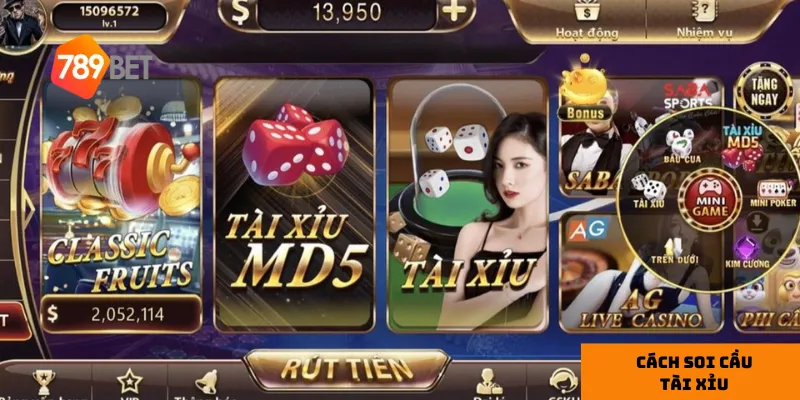 Lý do nên soi cầu tài xỉu