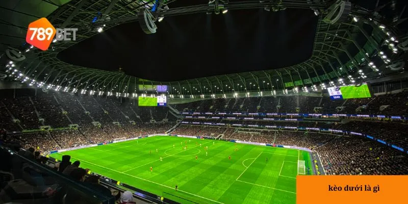 Kèo dưới thường là đội yếu hơn, được chấp trong tỷ lệ cược.