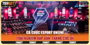Cá cược esport online: Trải nghiệm hấp dẫn, thắng cực dễ