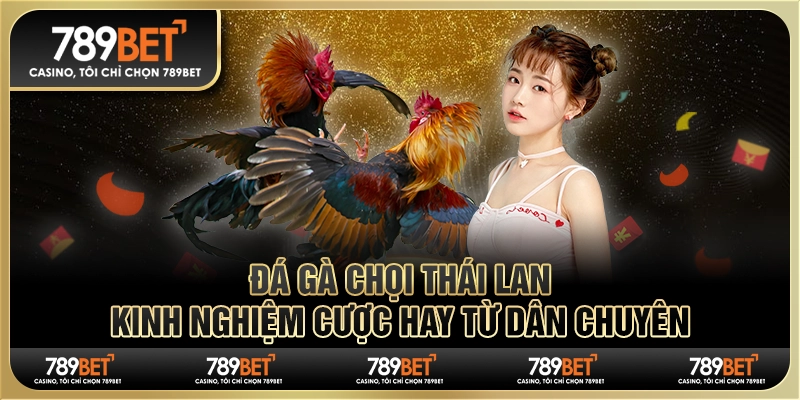Đá gà chọi Thái Lan: Kinh nghiệm cược hay từ dân chuyên