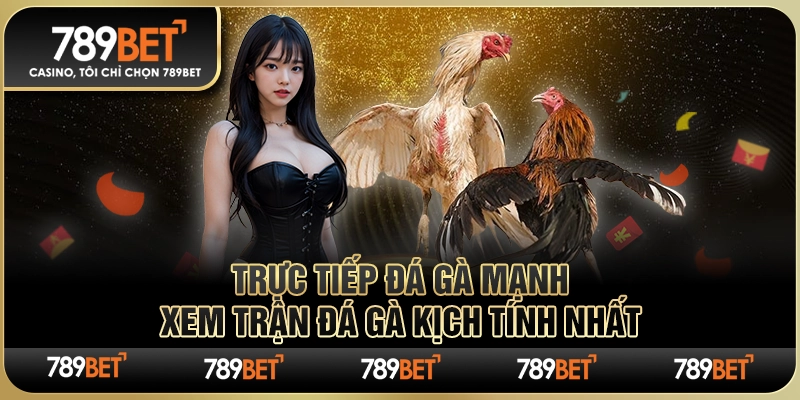 Trực Tiếp Đá Gà Mạnh – Xem Trận Đá Gà Kịch Tính Nhất 1 Trực Tiếp Đá Gà Mạnh – Xem Trận Đá Gà Kịch Tính Nhất