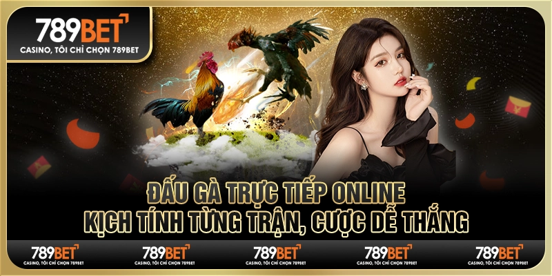 Đấu gà trực tiếp online: Kịch tính từng trận, cược dễ thắng