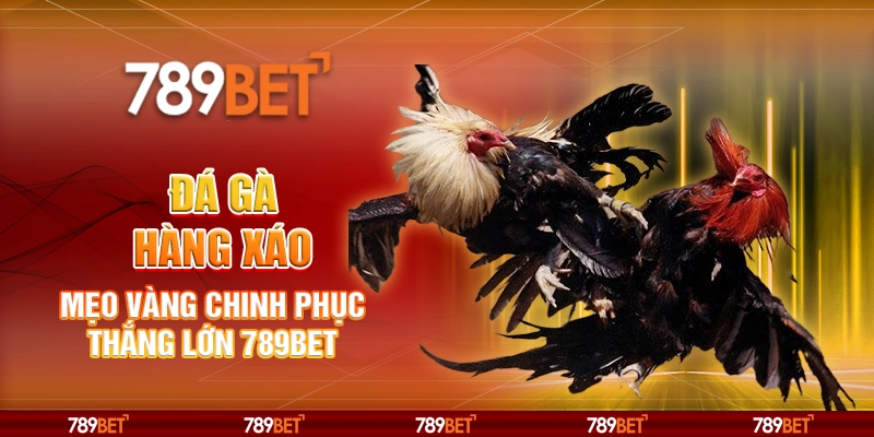 6-da-ga-hang-xao-meo-vang-chinh-phuc-thang-lon-789bet