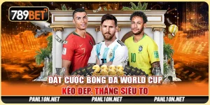 Đặt Cược Bóng Đá World Cup - Kèo Đẹp, Thắng Siêu To