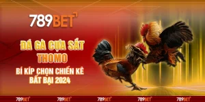 7-da-ga-cua-sat-thomo-bi-kip-chon-chien-ke-bat-bai-2024