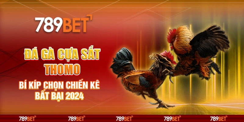 Đá Gà Cựa Sắt Thomo: Bí Kíp Chọn Chiến Kê Bất Bại 2024 1 7-da-ga-cua-sat-thomo-bi-kip-chon-chien-ke-bat-bai-2024