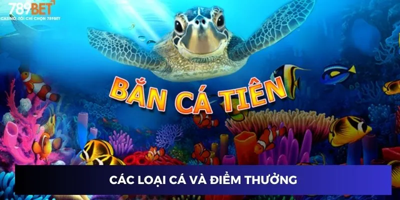 Các loại cá và điểm thưởng