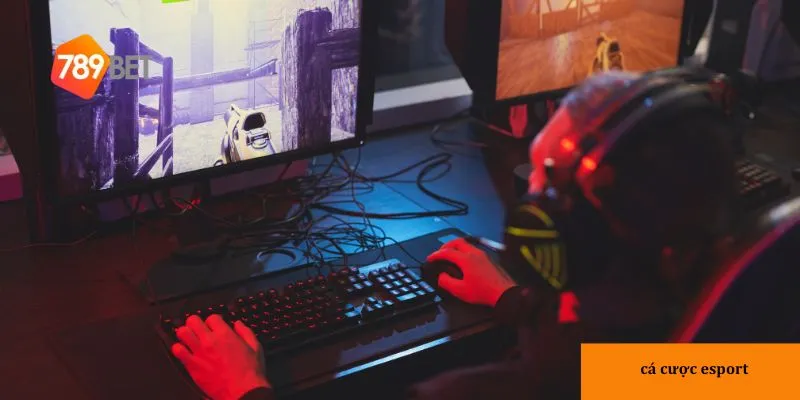 Cá cược trực tuyến mang lại trải nghiệm tiện lợi và an toàn.