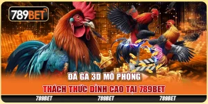 Đá Gà 3D Mô Phỏng
