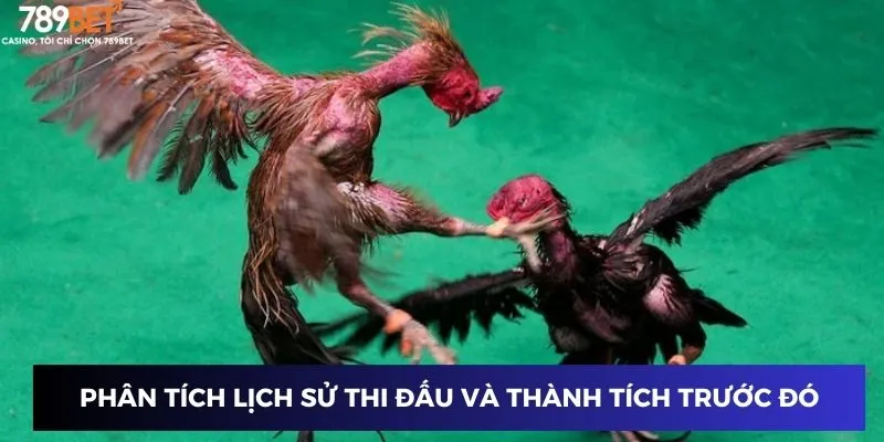 Phân tích lịch sử thi đấu và thành tích trước đó