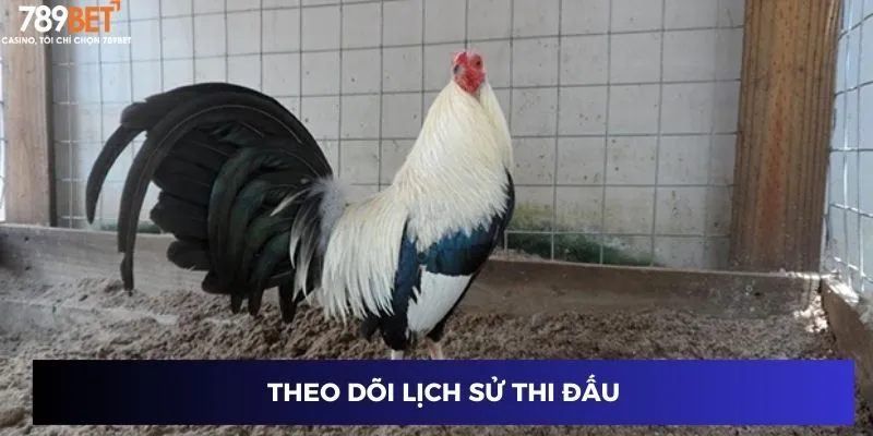 Theo dõi lịch sử thi đấu