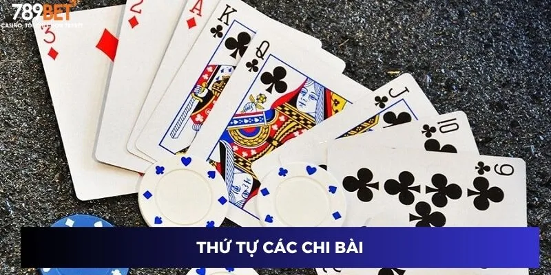 Thứ tự các chi bài