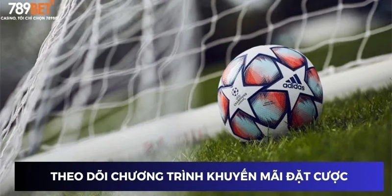 Theo dõi chương trình khuyến mãi đặt cược bóng đá Nam Mỹ Cúp Sudamericana