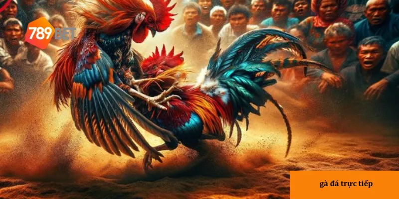Tìm hiểu cách theo dõi gà đá hiệu quả để có trải nghiệm tốt nhất.