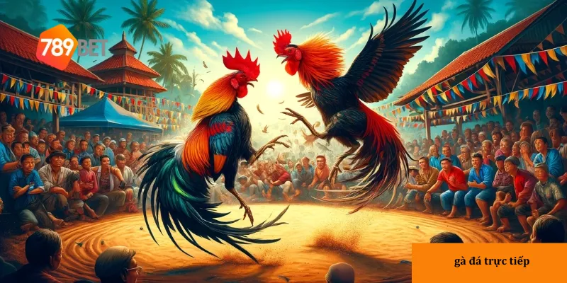 Tính chân thực và kịch tính là yếu tố khiến gà đá trực tiếp trở nên cuốn hút.