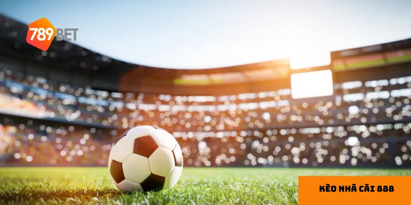 Chọn loại kèo phù hợp để nâng cao hiệu quả.