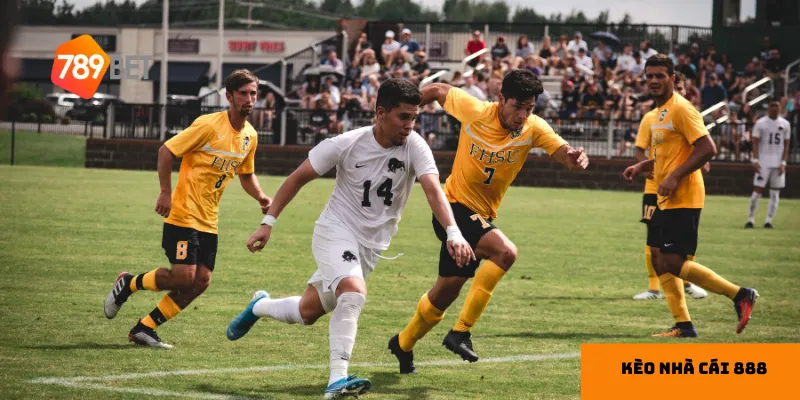 Tỷ lệ kèo chính xác là yếu tố giúp bạn tự tin hơn khi đặt cược.