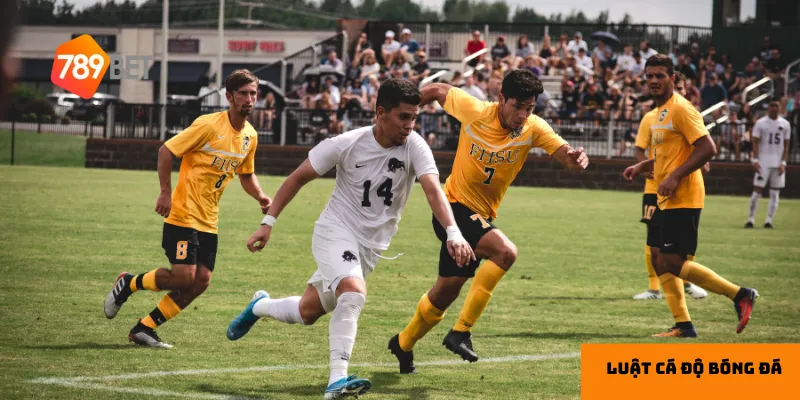 Luôn học hỏi để nâng cao kỹ năng cá cược.