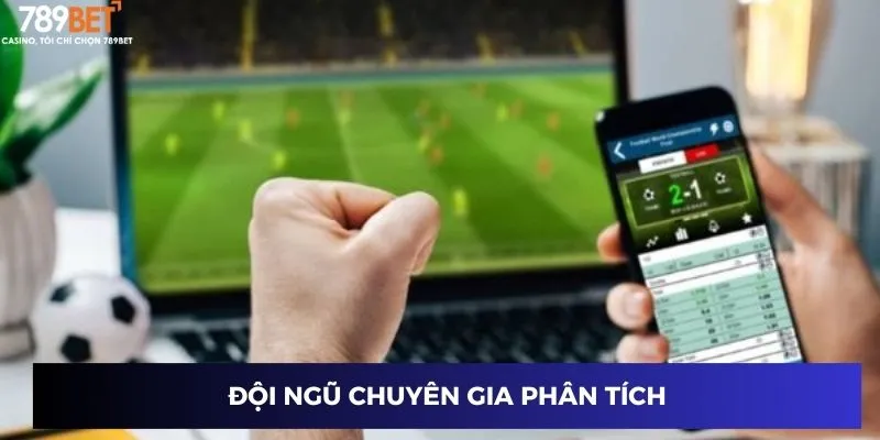 Đội ngũ chuyên gia phân tích