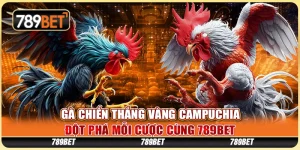 Gà Chiến Thắng Vàng Campuchia - Đột Phá Mỗi Cược Cùng 789BET