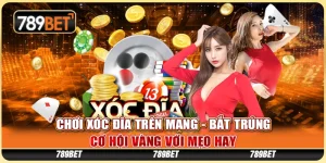 Chơi Xóc Đĩa Trên Mạng - Bắt Trúng Cơ Hội Vàng Với Mẹo Hay