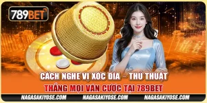 Cách Nghe Vị Xóc Đĩa – Thủ Thuật Thắng Mọi Ván Cược Tại 789BET