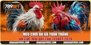 Mẹo Chơi Đá Gà Toàn Thắng – Hạ Gục Mọi Đối Thủ 789BET 2024
