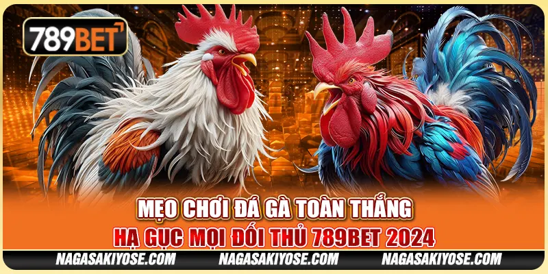 Mẹo Chơi Đá Gà Toàn Thắng – Hạ Gục Mọi Đối Thủ 789BET 2024