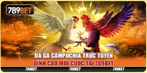 Đá Gà Campuchia Trực Tuyến - Đỉnh Cao Mỗi Cược Tại 789BET