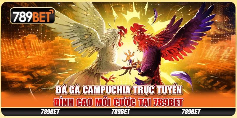 Đá Gà Campuchia Trực Tuyến - Đỉnh Cao Mỗi Cược Tại 789BET 1 Đá Gà Campuchia Trực Tuyến - Đỉnh Cao Mỗi Cược Tại 789BET