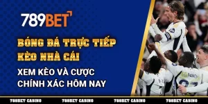 Bóng Đá Trực Tiếp Kèo Nhà Cái – Xem Kèo Và Cược Chính Xác Hôm Nay