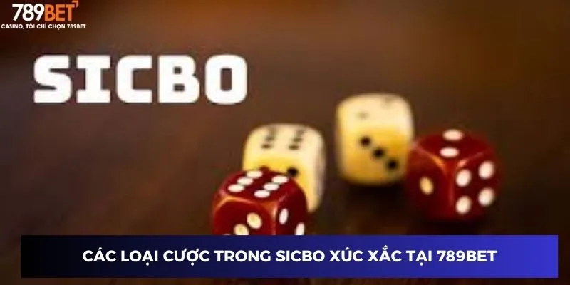 Các loại cược trong Sicbo xúc xắc tại 789BET