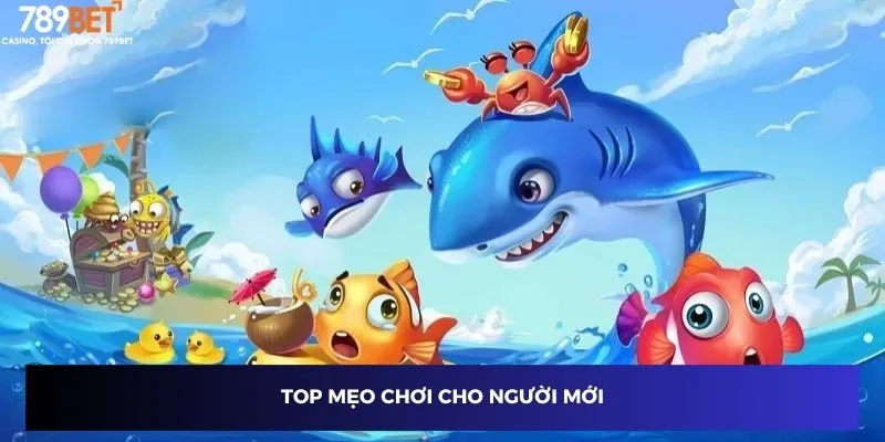 Top mẹo chơi cho người mới