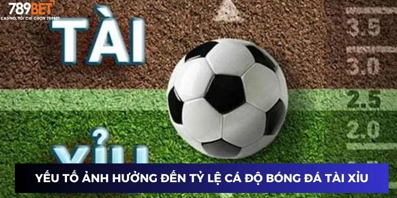 Cách Cá Độ Bóng Đá Tài Xỉu - Bí Quyết Chiến Thắng Cực Dễ 3 Các yếu tố ảnh hưởng đến tỷ lệ cược cá độ bóng đá tài xỉu